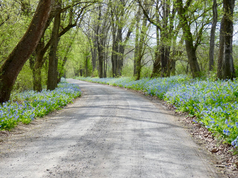 Miracle in You Creations